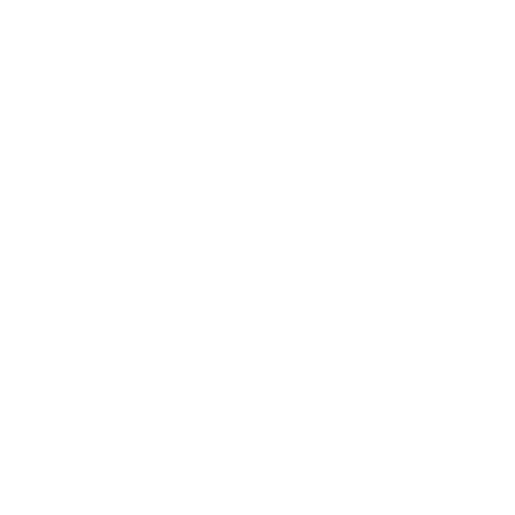 DREAMCHASERS™